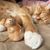 IntiMeg Capsule pour conserver les poils de chat