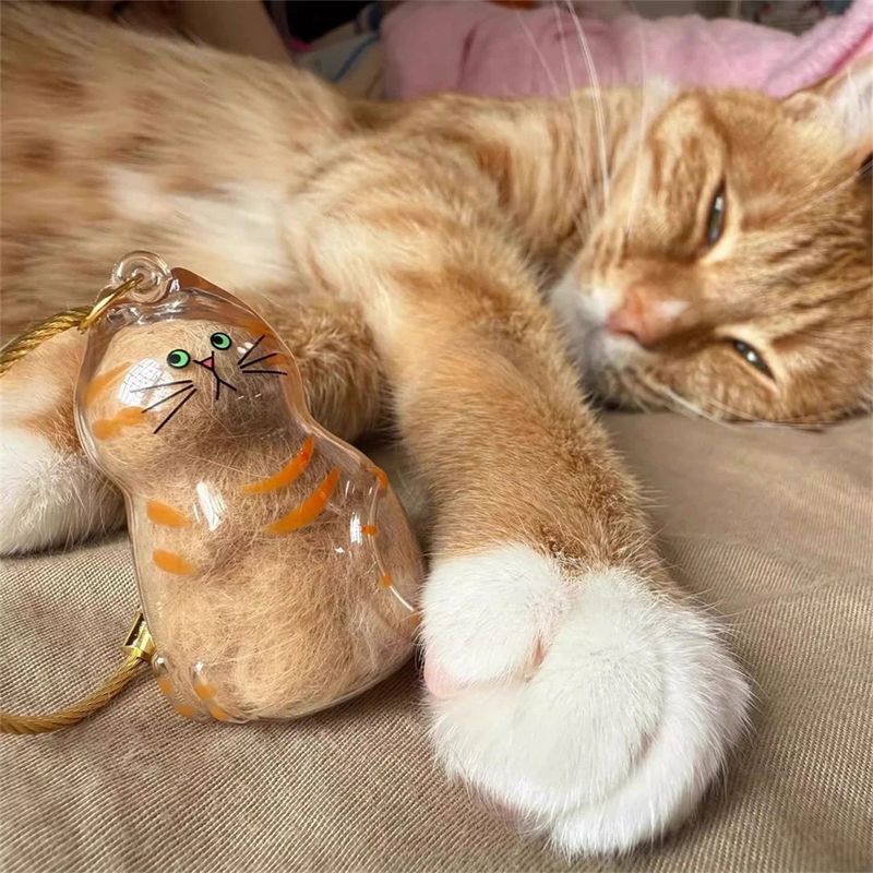 IntiMeg Capsule pour conserver les poils de chat