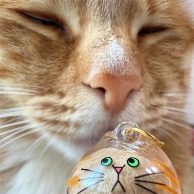 IntiMeg Capsule pour conserver les poils de chat
