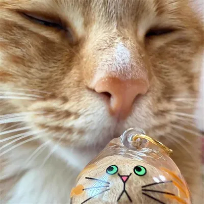 IntiMeg Capsule pour conserver les poils de chat