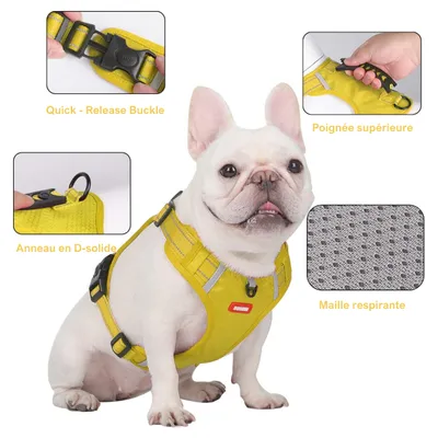 IntiMeg Harnois Harness pour chien