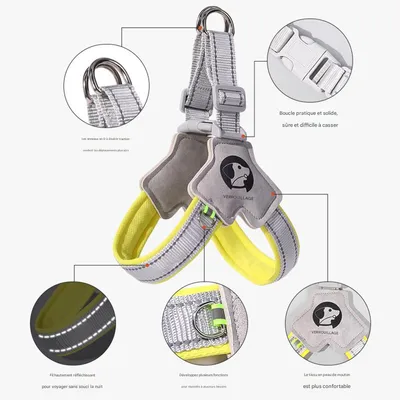 IntiMeg Harnais pour chien