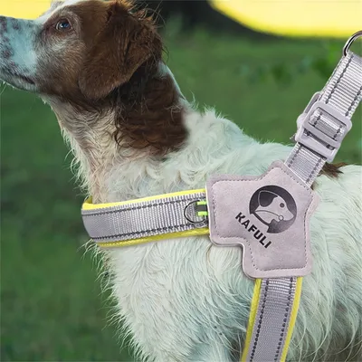 IntiMeg Harnais pour chien