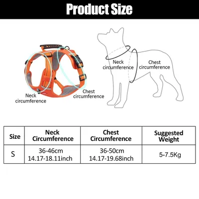 IntiMeg Harnois pour Chien