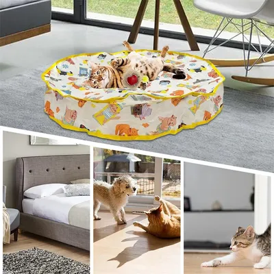 IntiMeg Jeux de circuit