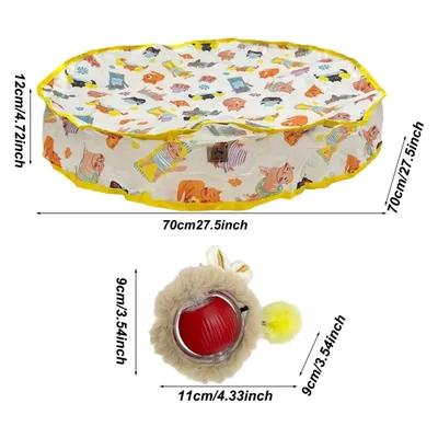 IntiMeg Jeux de circuit