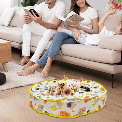 IntiMeg Jeux de circuit