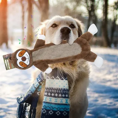 IntiMeg Jouet à mâcher pour chiot