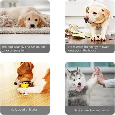 IntiMeg Jouet à mâcher pour chiot