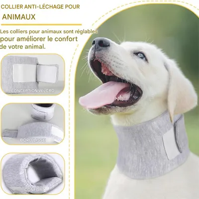 IntiMeg Collier de protection de cou pour chien et chat