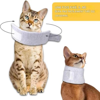 IntiMeg Collier de protection de cou pour chien et chat