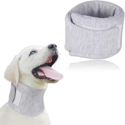 IntiMeg Collar protector para perros y gatos