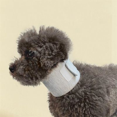 IntiMeg Collier de protection de cou pour chien et chat