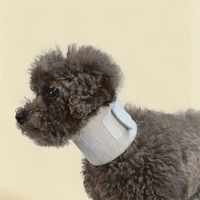 IntiMeg Collar protector para perros y gatos