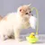 IntiMeg Jouet rotatif pour chat