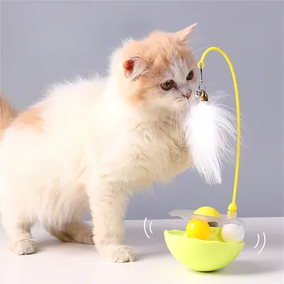 IntiMeg Jouet rotatif pour chat