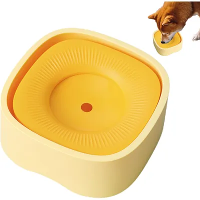 IntiMeg Tasse d'eau pour Chiens et Chats