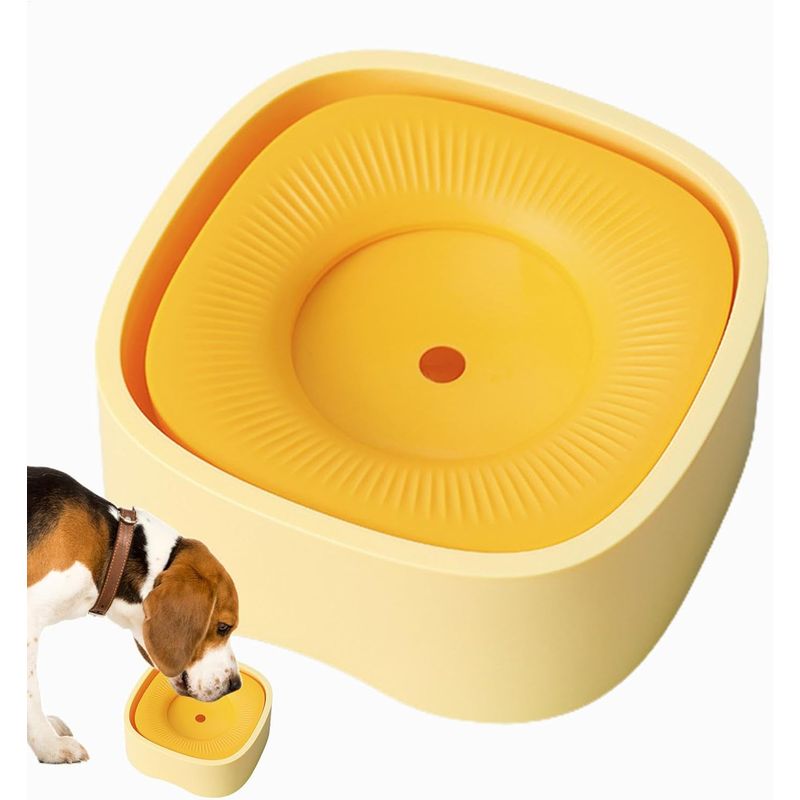 IntiMeg Tasse d'eau pour Chiens et Chats