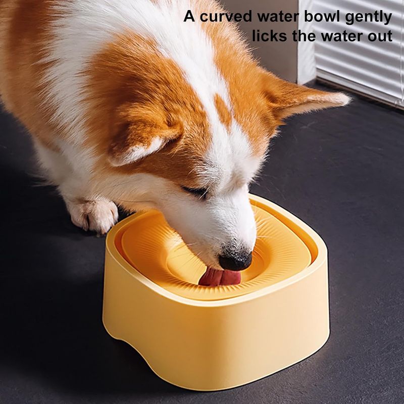 IntiMeg Tasse d'eau pour Chiens et Chats