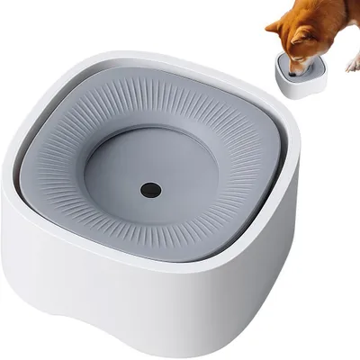 IntiMeg Tasse d'eau pour Chiens et Chats