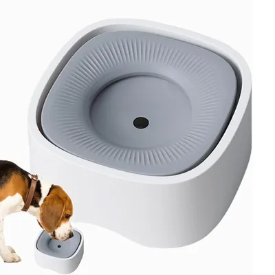 IntiMeg Tasse d'eau pour Chiens et Chats