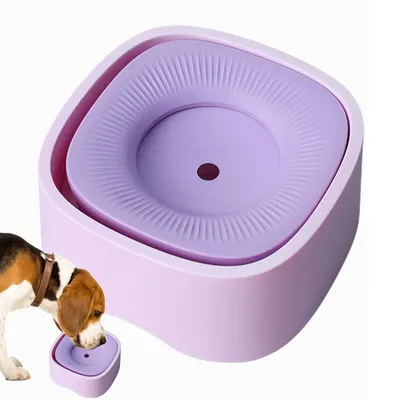 IntiMeg Tasse d'eau pour Chiens et Chats