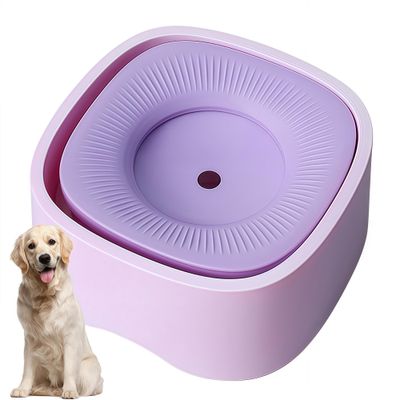 IntiMeg Tasse d'eau pour Chiens et Chats