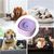 IntiMeg Tasse d'eau pour Chiens et Chats