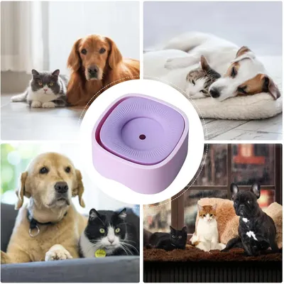 IntiMeg Tasse d'eau pour Chiens et Chats