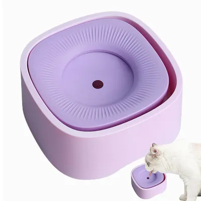 IntiMeg Tasse d'eau pour Chiens et Chats