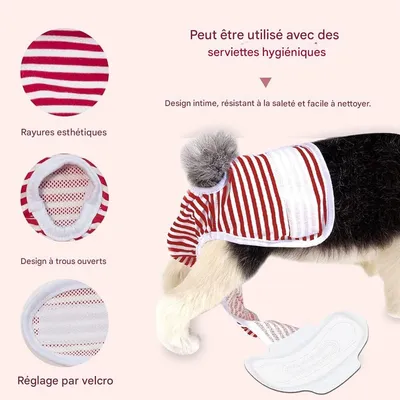 IntiMeg Couches lavables pour chien