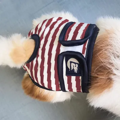 IntiMeg Couches pour chien