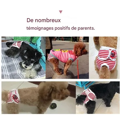 IntiMeg Couches lavables pour chien