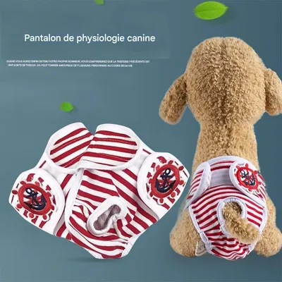 IntiMeg Couches lavables pour chien