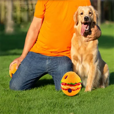 IntiMeg Boule sonore en forme pour chien