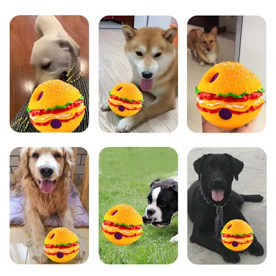 IntiMeg Boule sonore en forme pour chien