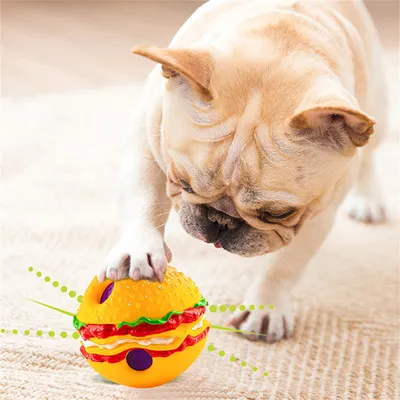 IntiMeg Boule sonore en forme pour chien