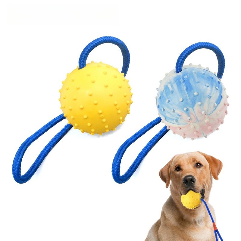 IntiMeg Balle de jouet pour chien