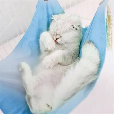 IntiMeg Hamac pour chat