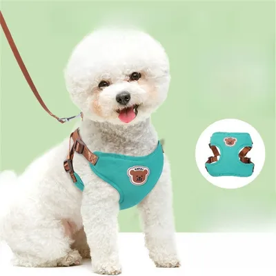 IntiMeg Harnais de traction pour chien