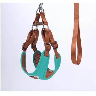 IntiMeg Harnais de traction pour chien