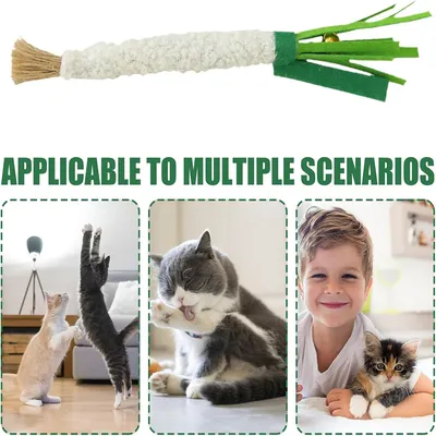 IntiMeg Trois bâtonnet de jeu pour chat