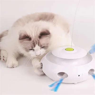 IntiMeg Jouet électrique intelligent pour chat