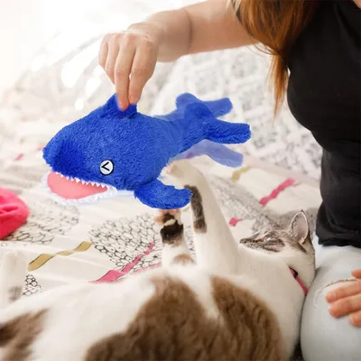 IntiMeg Jouets interactifs