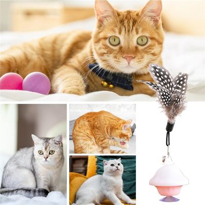 IntiMeg Jouet interactif à ventouse pour chat,Contient des plumes