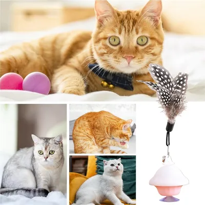 IntiMeg Jouet interactif à ventouse pour chat,Contient des plumes