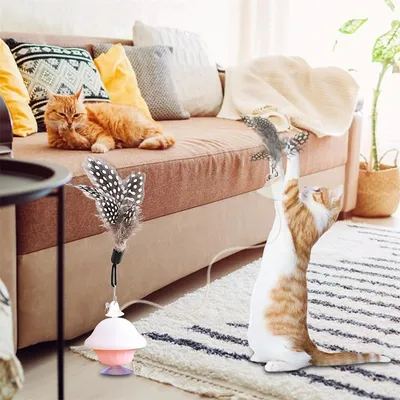 IntiMeg Jouet interactif à ventouse pour chat,Contient des plumes