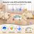 IntiMeg Jouet interactif électrique 3 en 1 pour chat