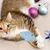 IntiMeg Jouets à mâcher pour chat