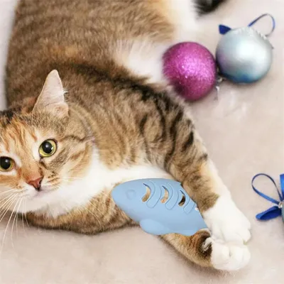 IntiMeg Jouets à mâcher pour chat
